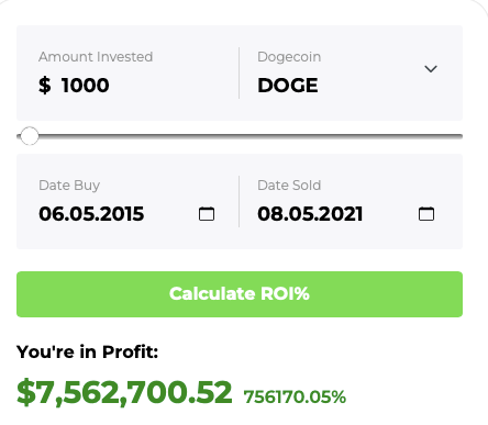 DOGE ROI